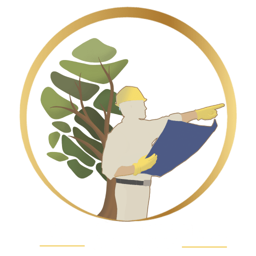 Tok header Logo